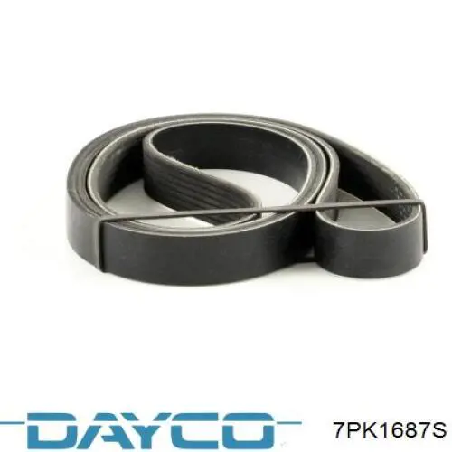 Correa de alternador 7PK1687S Dayco