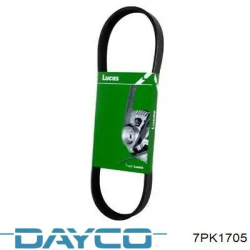 Comprar 7PK1705 Dayco Correa trapezoidal