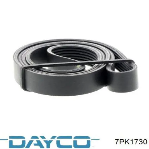 Correa de alternador 7PK1730 Dayco