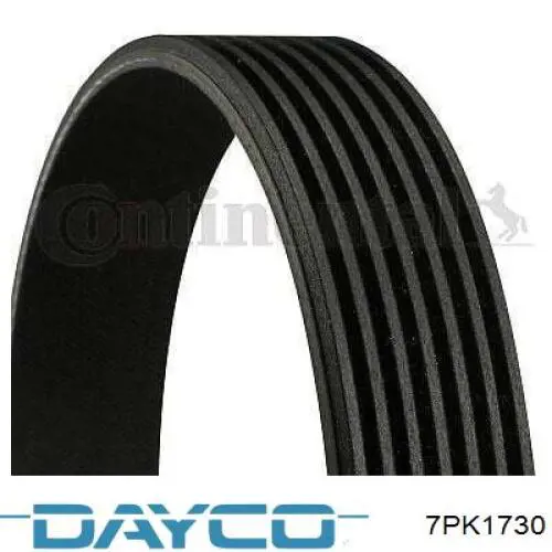 Comprar 7PK1730 Dayco Correa trapezoidal
