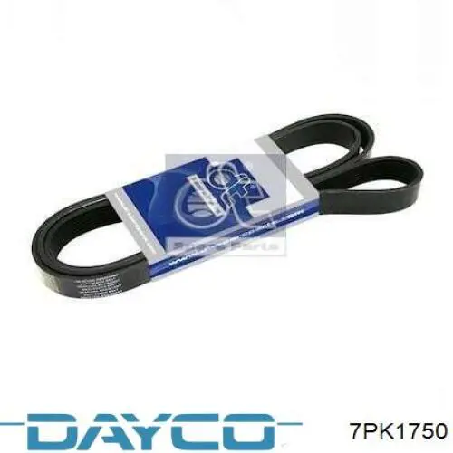 Comprar 7PK1750 Dayco Correa trapezoidal