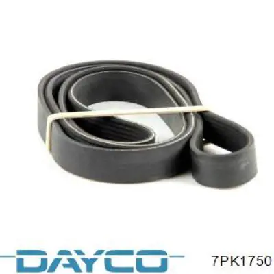 Correa de alternador 7PK1750 Dayco