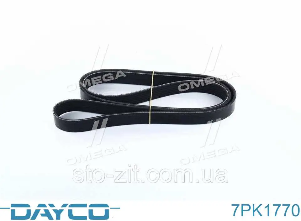 Comprar 7PK1770 Dayco Correa trapezoidal