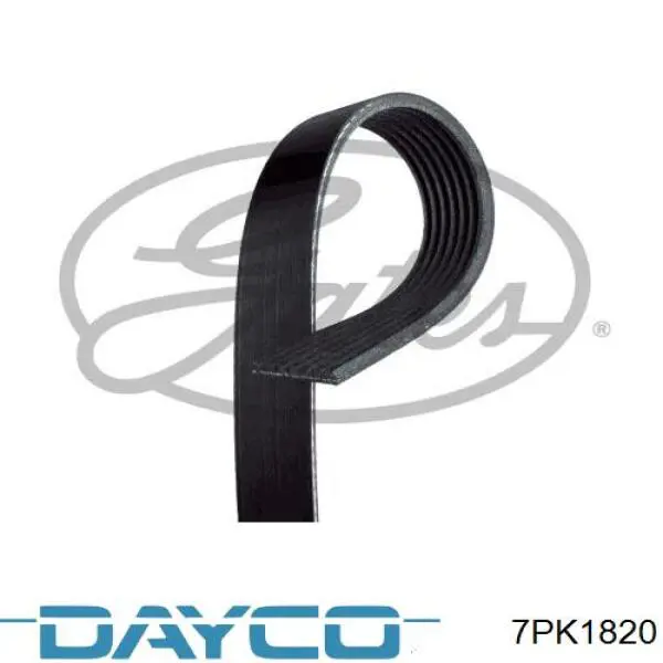 Correa de transmisión trapezoidal Dayco 7PK1820 precio, desde 22,24 EUR