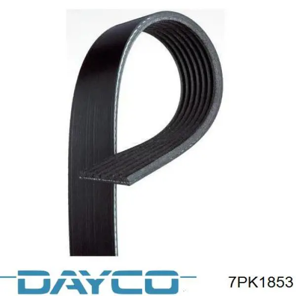 Comprar 7PK1853 Dayco Correa trapezoidal