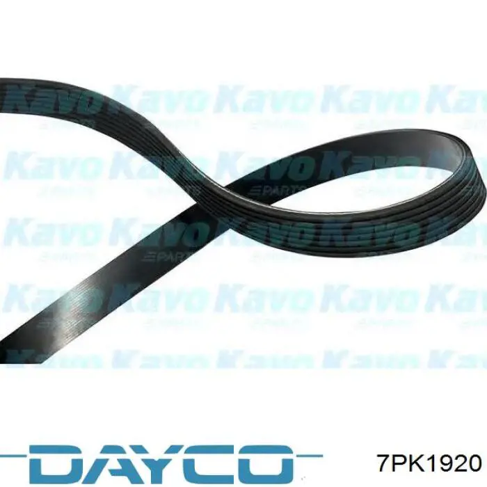 Comprar 7PK1920 Dayco Correa trapezoidal