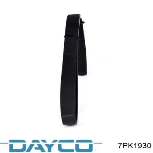 Comprar 7PK1930 Dayco Correa trapezoidal