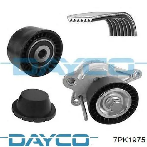 Comprar 7PK1975 Dayco Correa trapezoidal