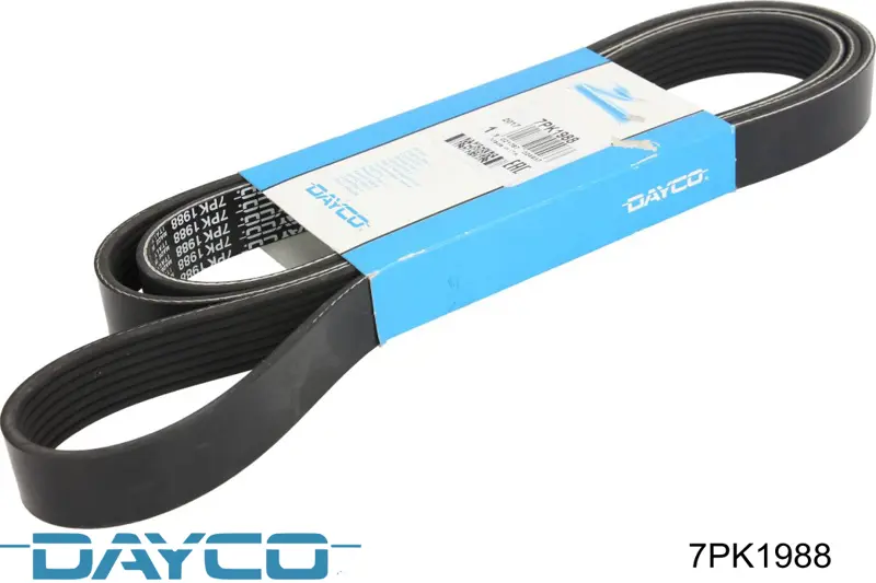 Correa de transmisión trapezoidal Dayco 7PK1988 precio, desde 44,32 EUR