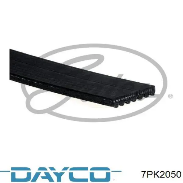 7PK2050 Dayco correa trapezoidal