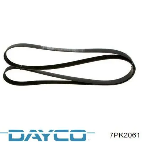 Correa de alternador 7PK2061 Dayco
