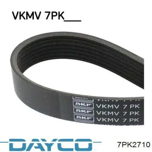 7PK2713 Denckermann Correa poly v