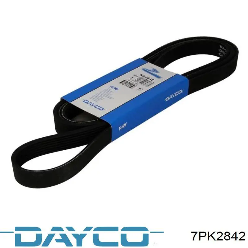 Correa de transmisión trapezoidal Dayco 7PK2842 precio, desde 59,96 EUR