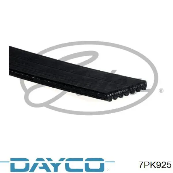 Correa de transmisión trapezoidal Continental/Siemens 7PK920 precio, desde 31,41 EUR
