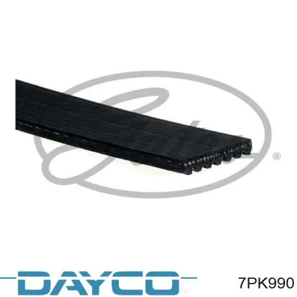 Correa de transmisión trapezoidal Dayco 7PK990 precio, desde 55,22 EUR