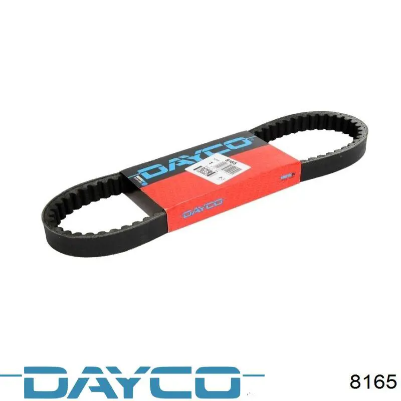 8165 Dayco correa cvt