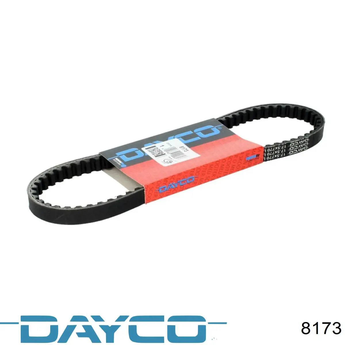 8173 Dayco Correa de variador