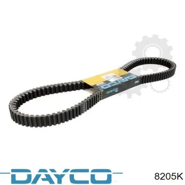 8205K Dayco correa cvt