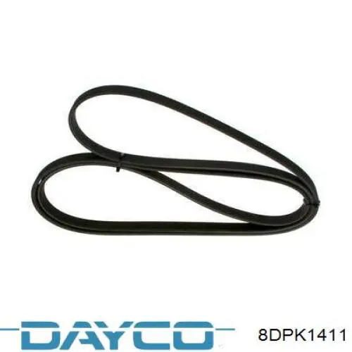 Correa de transmisión trapezoidal Jaguar C2P12816 precio, desde 16,70 EUR