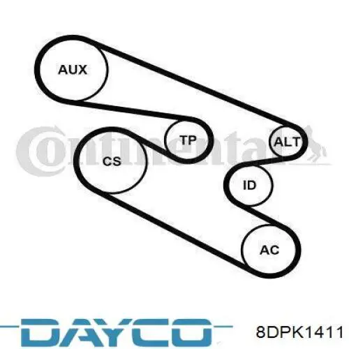 Correa de transmisión trapezoidal Jaguar C2D39175 precio, desde 16,70 EUR