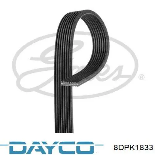 8DPK1833 Dayco correa trapezoidal