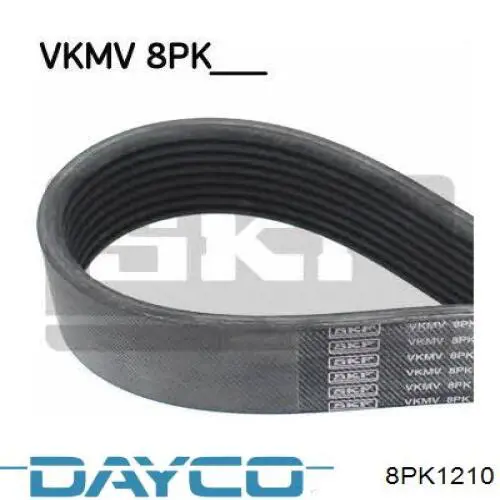 Correa de alternador 8PK1210 Dayco