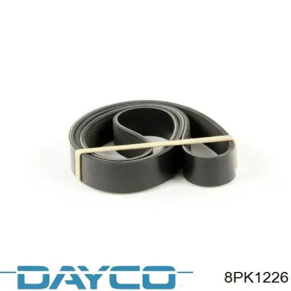 Correa de transmisión trapezoidal Dayco 8PK1226 precio, desde 25,41 EUR