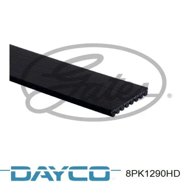 8PK1290HD Dayco correa trapezoidal