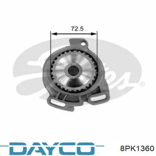 3911587 Cummins Correa poly v