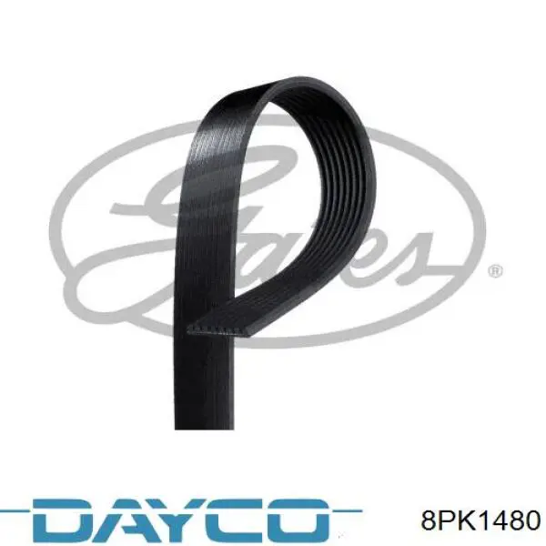 Correa de transmisión trapezoidal Dayco 8PK1480 precio, desde 19,37 EUR