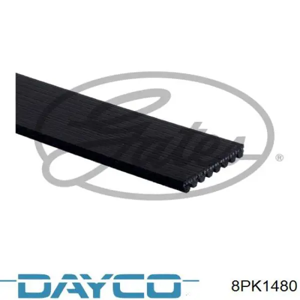 Comprar 8PK1480 Dayco Correa trapezoidal
