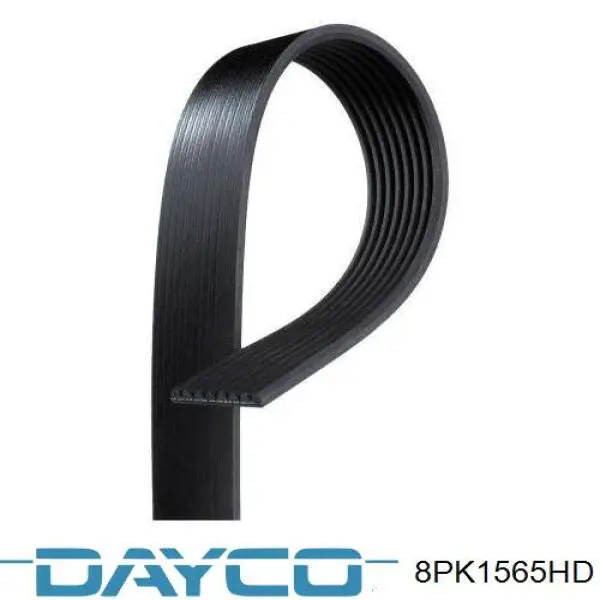 8PK1565HD Dayco correa trapezoidal