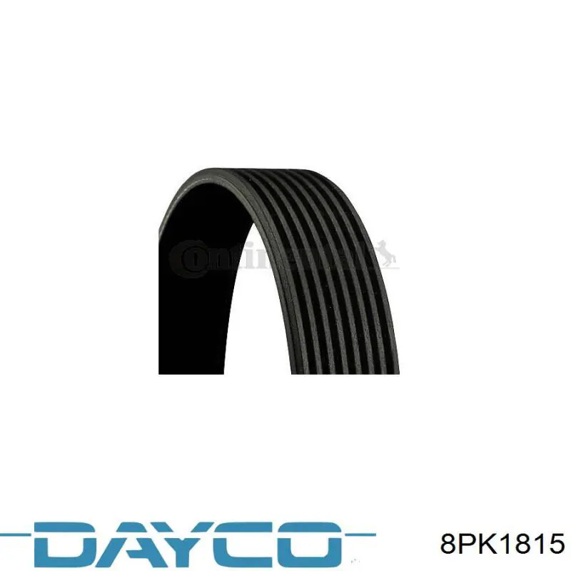 8PK1815 Dayco correa trapezoidal