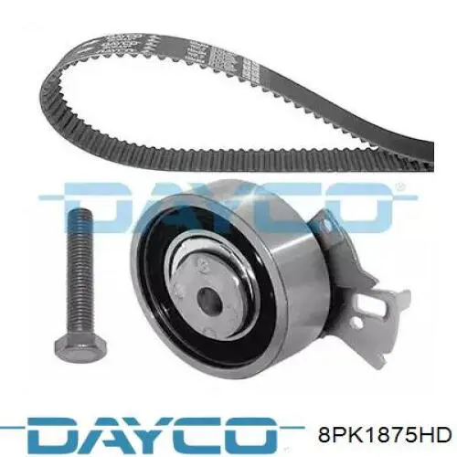 8PK1875 Continental/Siemens Correa poly v