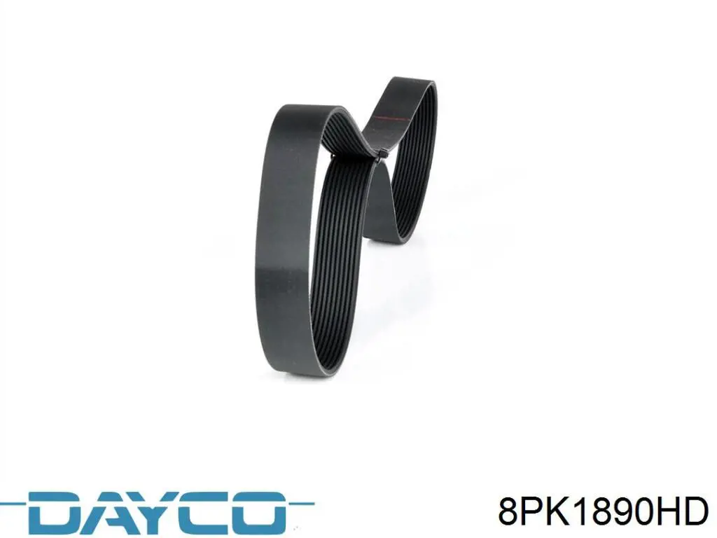 Correa de transmisión trapezoidal Continental/Siemens 8PK1890 precio, desde 21,07 EUR