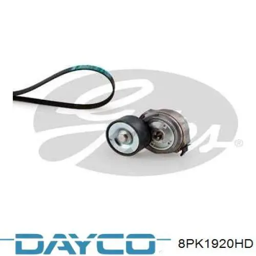 Correa de alternador 8PK1920HD Dayco
