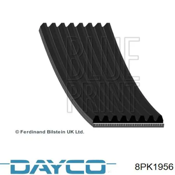 8PK1958HD Gates Correa poly v