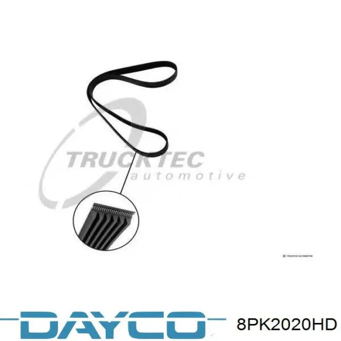 8PK2020HD Dayco Correa poly v