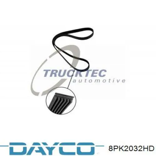 Correa de alternador 8PK2032HD Dayco