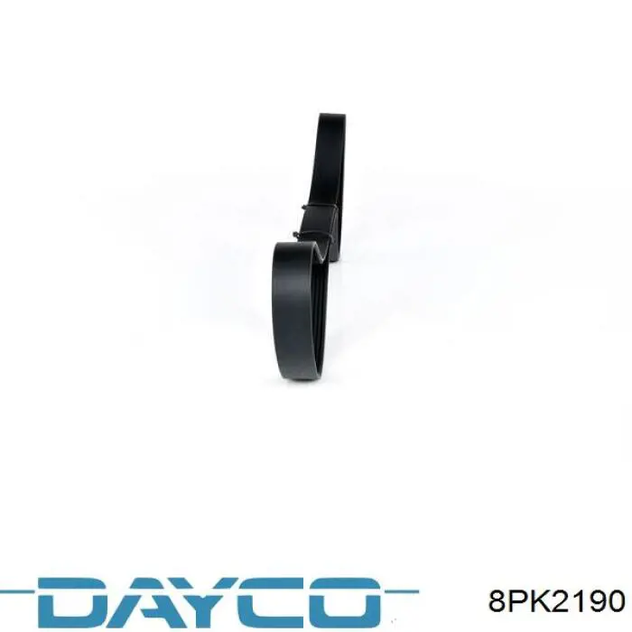 Correa de alternador FB8PK2188 INA