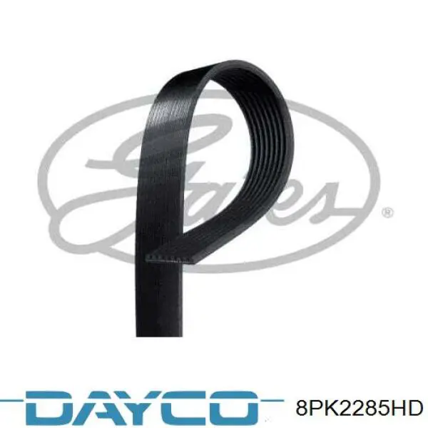 Comprar 8PK2285HD Dayco Correa trapezoidal