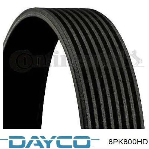 Correa de transmisión trapezoidal Dayco 8PK800HD precio, desde 12,37 EUR