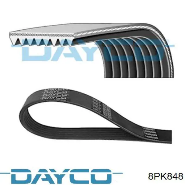 Correa de transmisión trapezoidal Dayco 8PK848 precio, desde 48,90 EUR