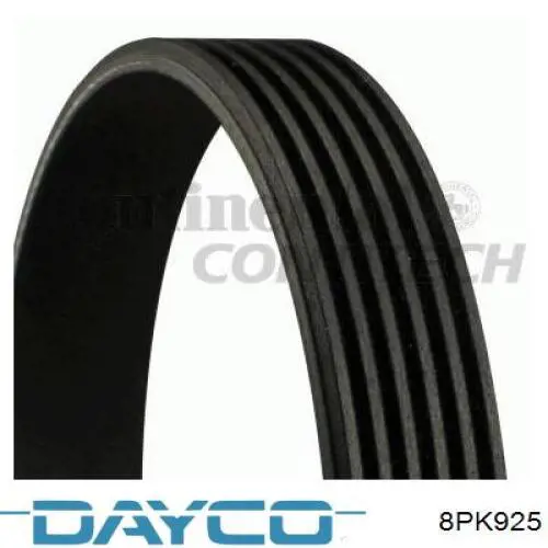 Correa de transmisión trapezoidal Dayco 8PK925 precio, desde 20,86 EUR