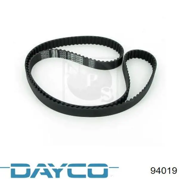 Correa distribución 94019 Dayco