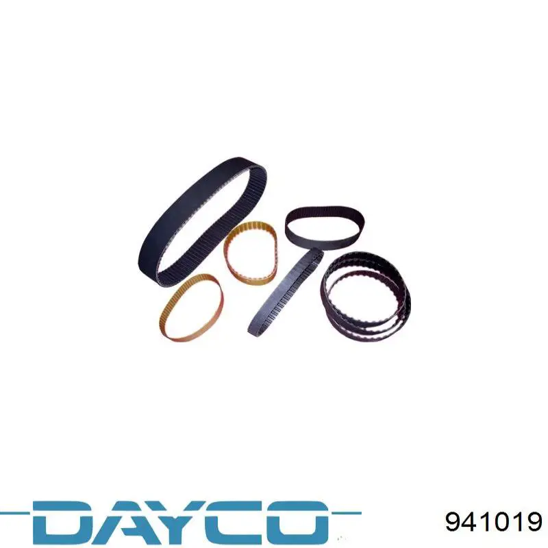Comprar 941019 Dayco Correa distribución