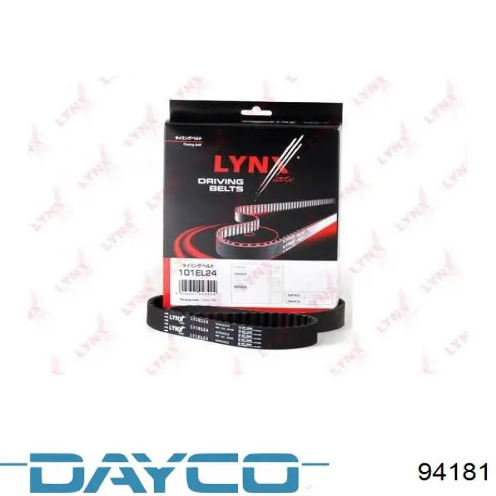 Correa distribución 94181 Dayco