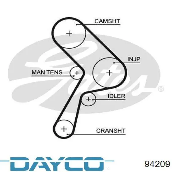 94209 Dayco Correa dentada