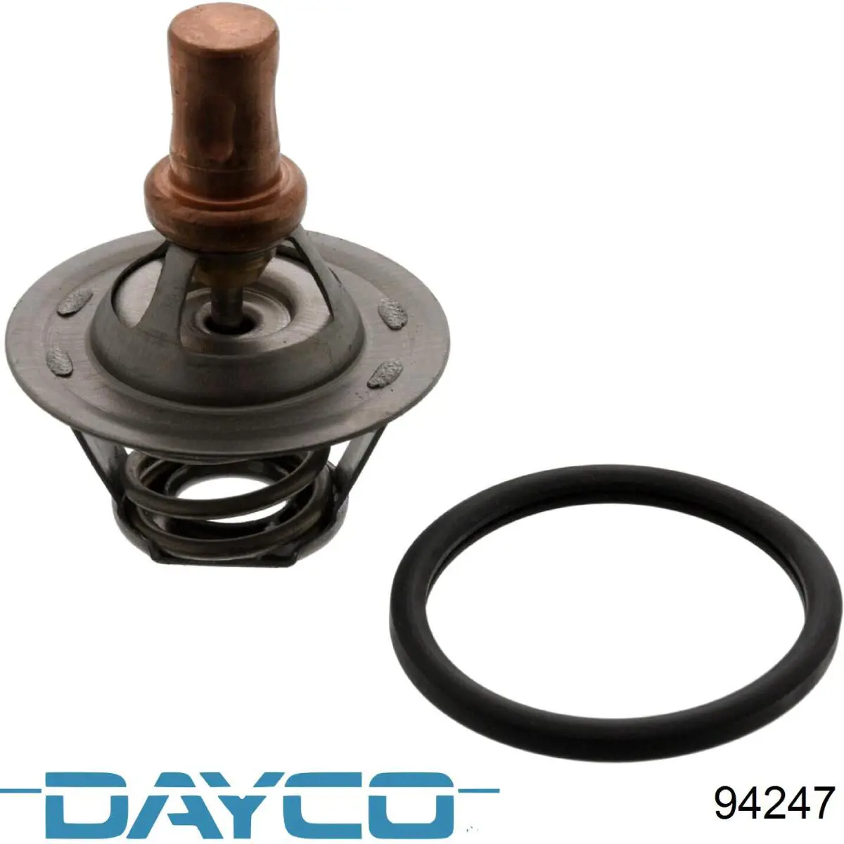 94247 Dayco correa distribucion