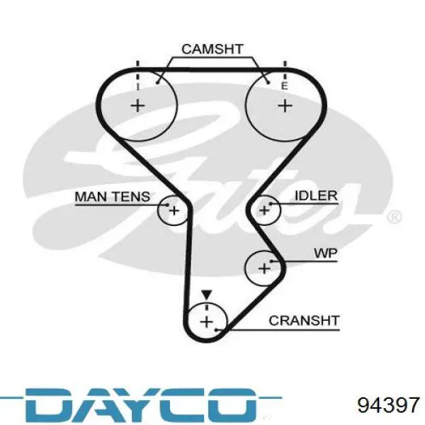 94397 Dayco correa distribucion